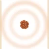 1 face Rudraksh - Image 2