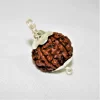 6 Face Nepal Origin Rudraksha - Image 2